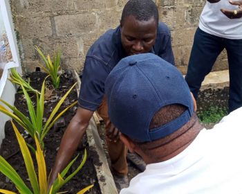 Community & Economic Development